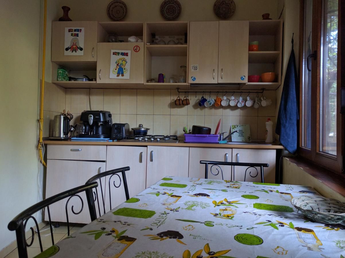 Хостелы Freeborn Hostel Тимишоара