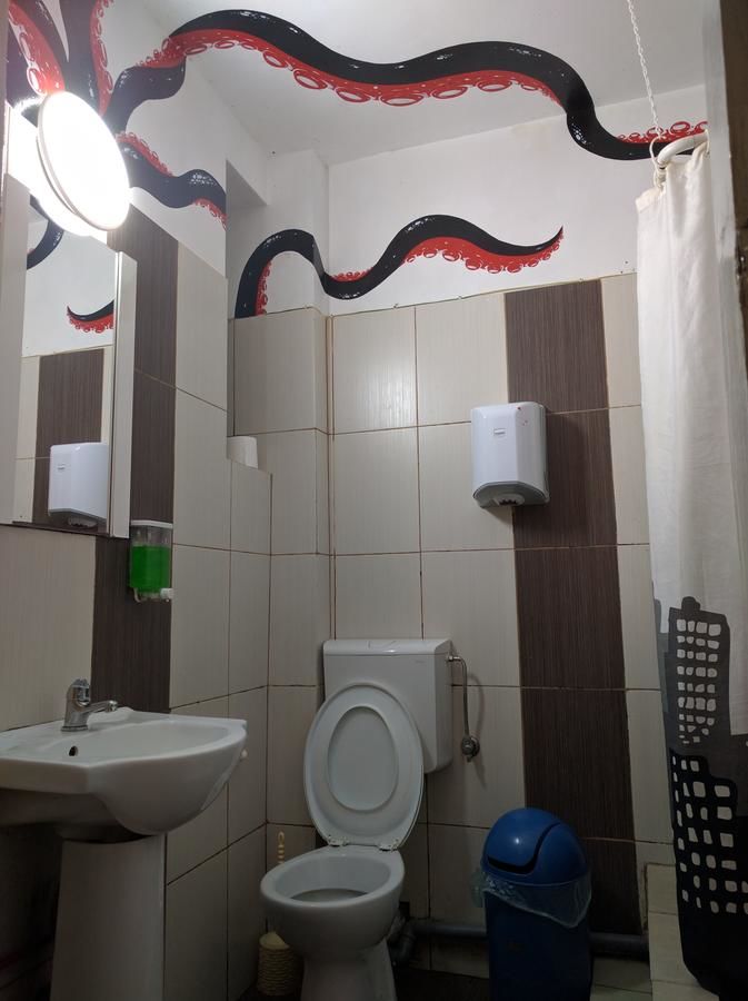 Хостелы Freeborn Hostel Тимишоара
