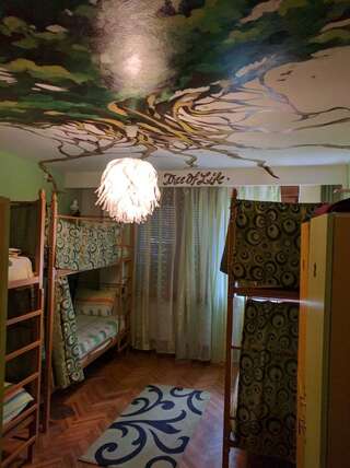 Хостелы Freeborn Hostel Тимишоара Кровать в общем 6-местном номере-1